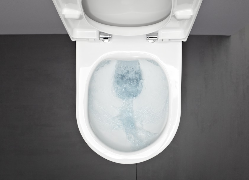 Сиденье с крышкой для унитаза  Laufen Pro  (Special)  8.9195.1.300.003.1 с микролифтом