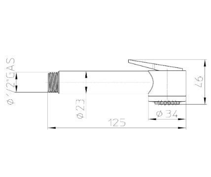 Гигиеническая лейка Bossini Paloma Gom B00457.030 Хром