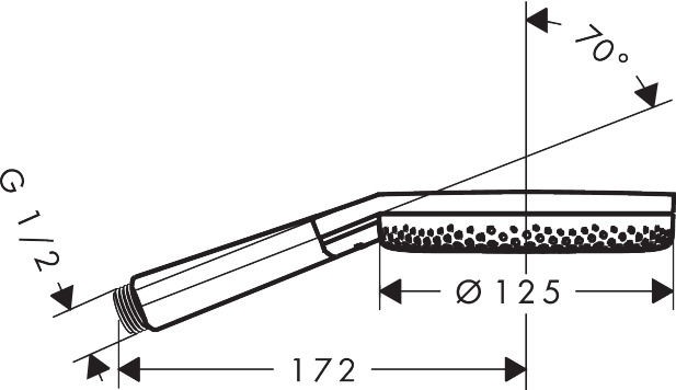 Ручной душ HANSGROHE Raindance Alive Select S 24500000 125 3jet, хром