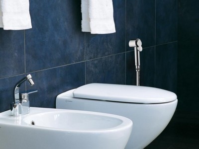 Гигиеническая лейка Bossini Paloma C98001 Хром