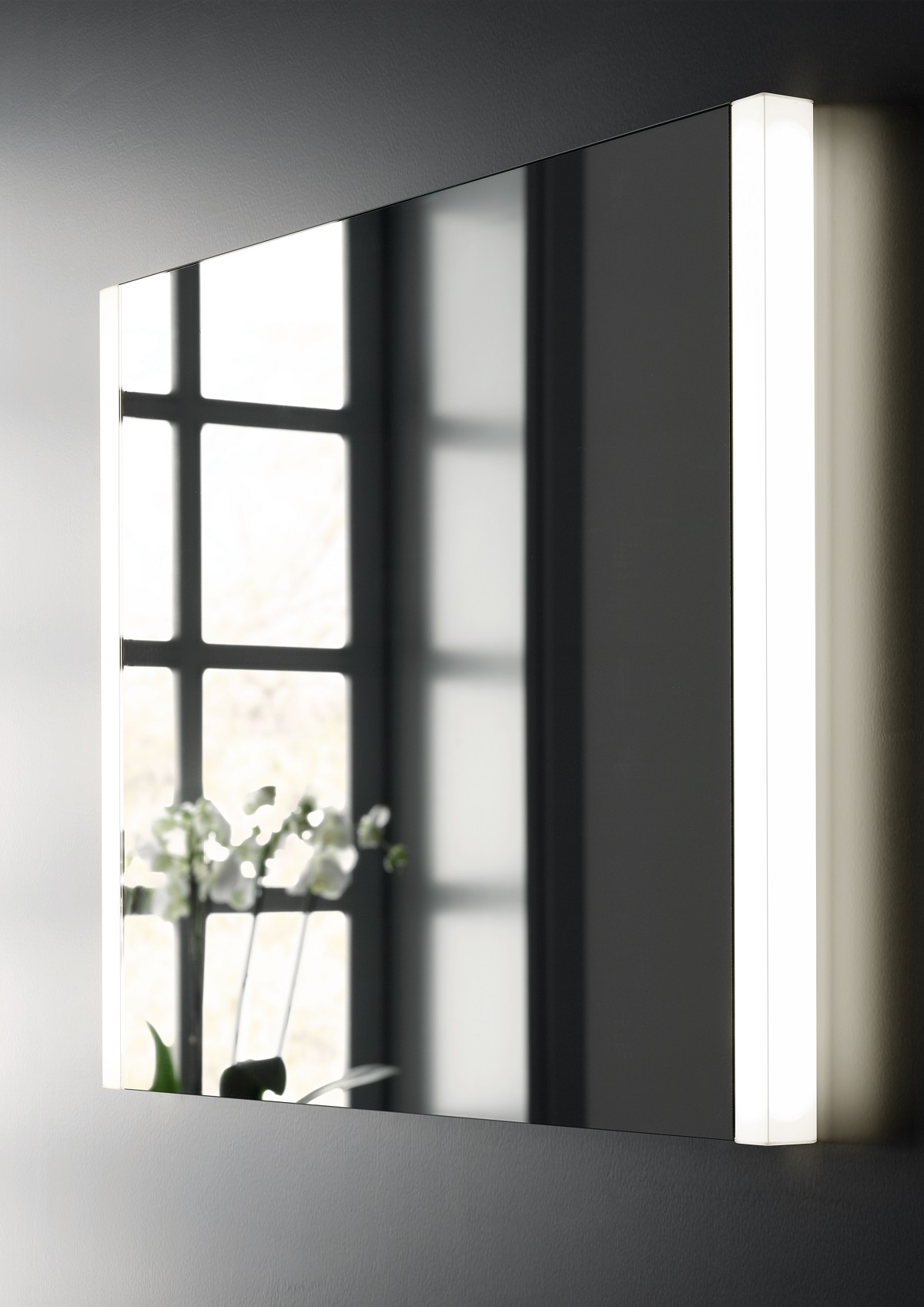 Зеркало для ванны Keuco Royal Reflex 14296002500 серебристое 