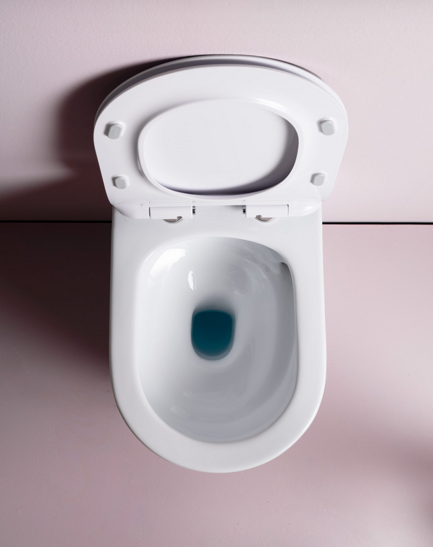 Унитаз приставной ARTCERAM File 2.0 FLV007 01 00 520 мм х 370 мм, смыв Whirl-Flush, безободковый, с креплением, с покрытием Saniglaze, цвет Белый глянцевый