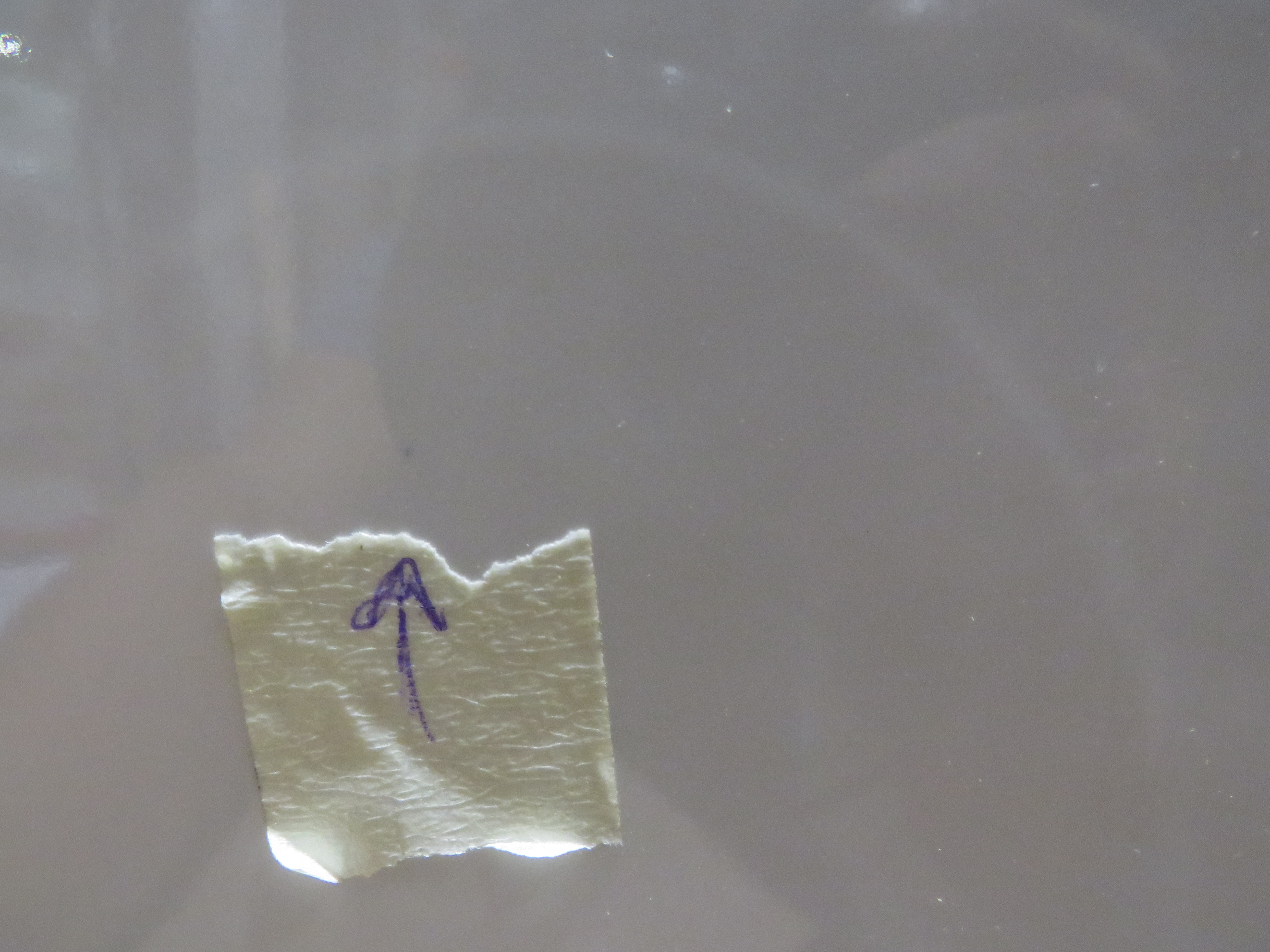 УЦЕНКА. Биде подвесное GSI PURA   8864111_УЦ/7     500 мм х 360 мм, с отверстием под смеситель, с переливом, без крепежа FISR2, белый глянцевый /Дефект: черные точки в эмали.