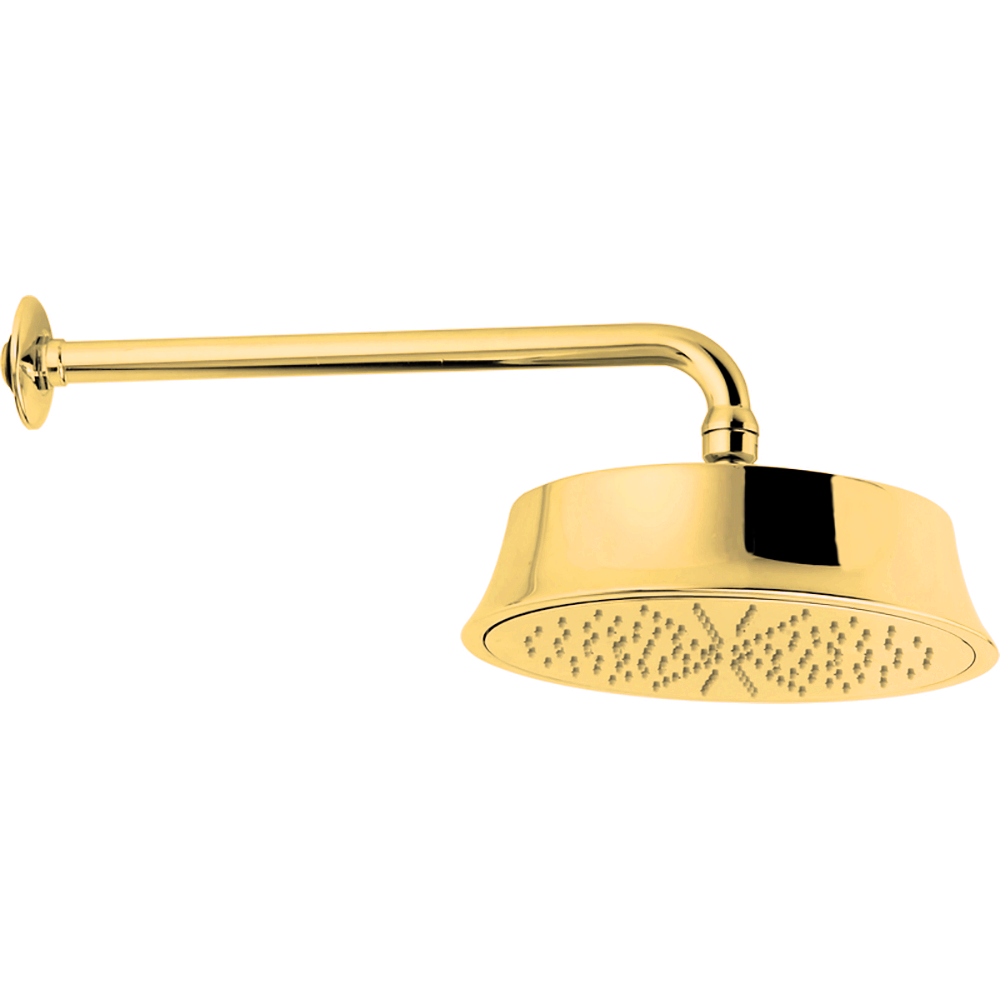 Верхний душ с настенным держателем CISAL Shower DS01327024 цвет Золото