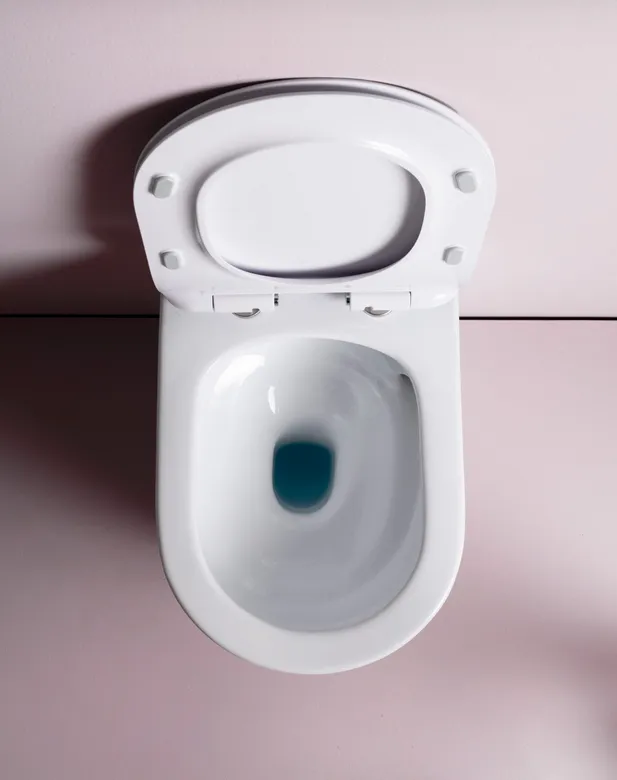 Унитаз приставной ARTCERAM File 2.0 FLV007 01 00 520 мм х 370 мм, смыв Whirl-Flush, безободковый, с креплением, с покрытием Saniglaze, цвет Белый глянцевый