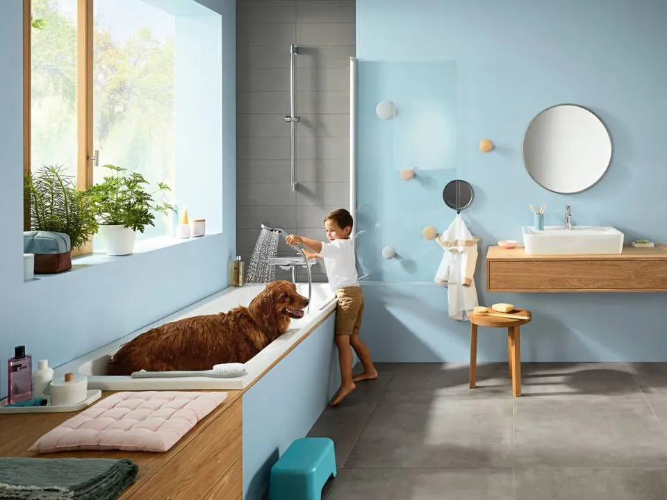 Душевой гарнитур HANSGROHE Cromа Select Е 26595400 со штангой 90 см, ручным душем, держателем и шлангом 160 см, с EcoSmart, цвет Белый/Хром