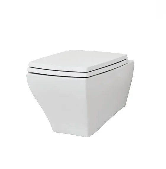 Сиденье для унитаза с крышкой ARTCERAM JAZZ JZA006 01 71 soft-close, белый глянцевый