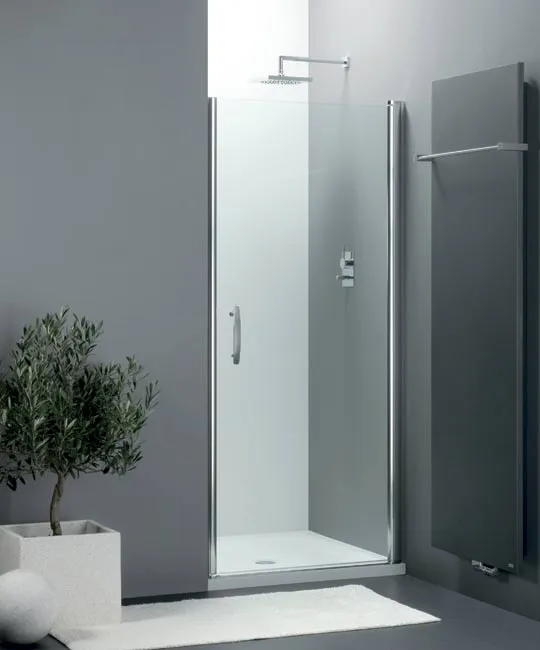 РАСПРОДАЖА Дверь в нишу Provex Elegance/Vario 0005 NE 28 GL N 1000 мм х 1975 мм, матовый алюминий/стекло прозрачное