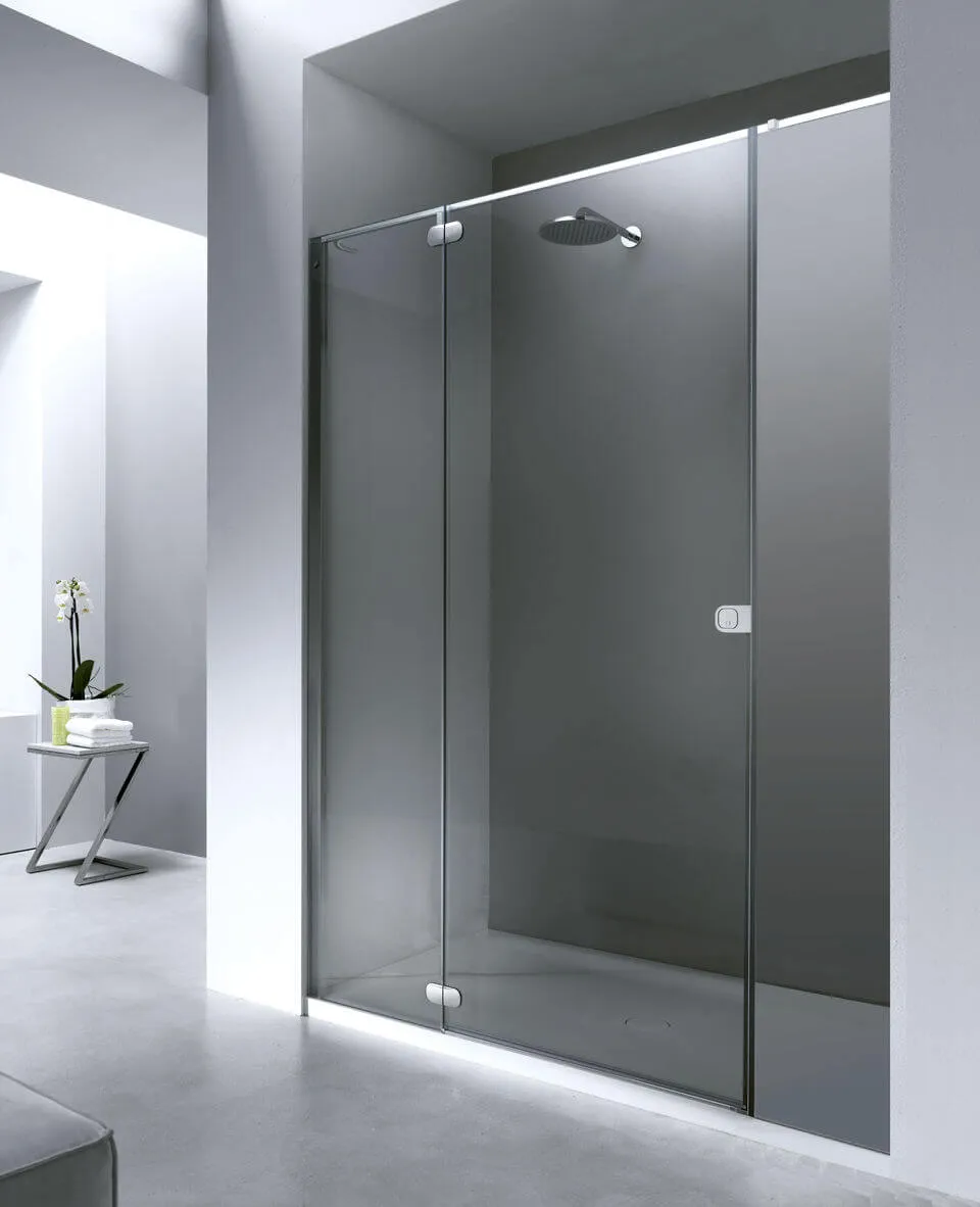 Дверь в нишу Provex Flat FI 0011 FI-T 05 GL с фронтальным входом 1600х195 мм