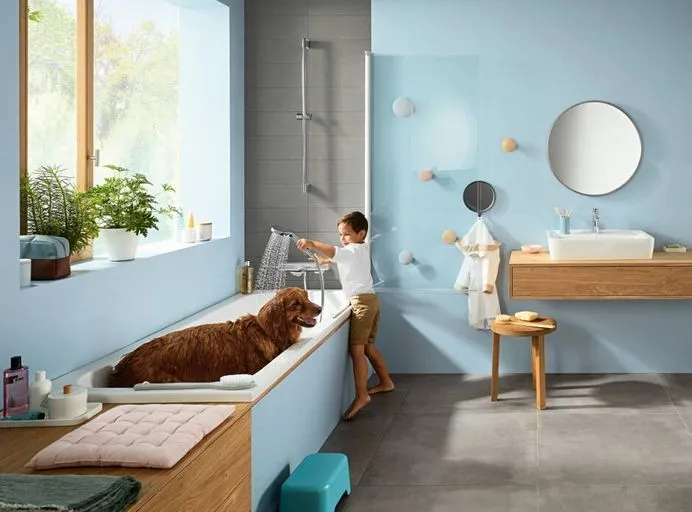 Термостат для душа Hansgrohe Ecostat Е 15773000 Хром